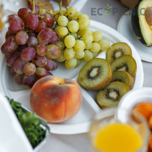 df6e1af6e745243ec78a5ca19a7c31aa